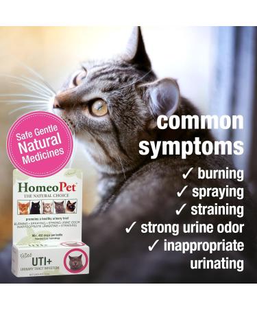 HomeoPet Feline UTI Plus Safe and Natural Urinary Tract Medicine for Cats Feline Urinary Tract Support 15 Milliliters - Pack of 2 - Buy Online on GoSupps.com