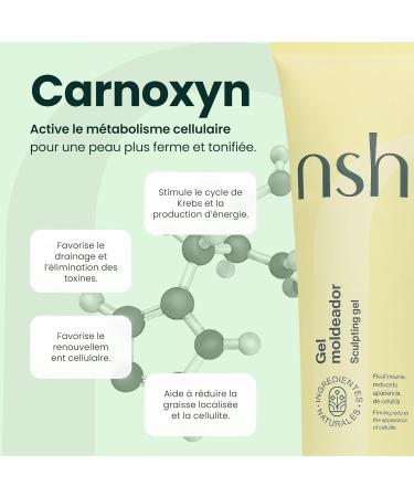  nsh. Natural Skin & Hair NSH Anti-Cellulite Reducing Cream 300ml Body Firming with 12% Caffeine - Buy Online on GoSupps.com