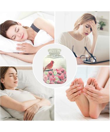 Hot Water Bottle 2L with Cover - Bird in Rose Garden | Pain Relief & Winter Hand Feet Warmer - Buy Online on GoSupps.com