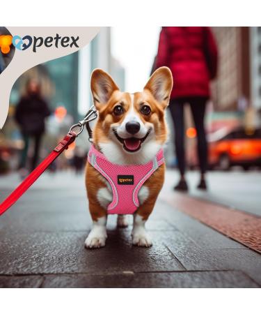 Petex Dog Harness for Small & Medium Dogs - TUV Tested Made in Europe Reflective & Breathable with Air Mesh Technology - Ideal for Puppies - Pink - Buy Online on GoSupps.com