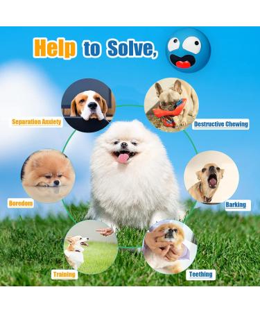 Holysteed Dog Toys for Small Dogs - Squeaky Latex Puppy Toys Soft Multicolored Burger Shape - 6 Pieces (5.5 x 3.5 cm) - Buy Online on GoSupps.com