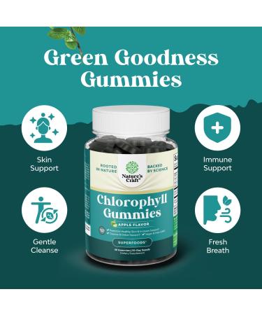 Bundle of Liver Support NAC - N Acetyl Cysteine with Antioxidants Turmeric Choline Dandelion & L-Glutathione and Chlorophyll Gummies - Internal Deodorizer for Body Odor Healthy Skin Digestive Support - Buy Online on GoSupps.com