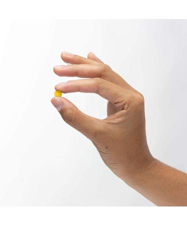 Dr. Mercola Organic Curcumin Extract - 90 Tablets for Natural Health Support - Buy Online on GoSupps.com