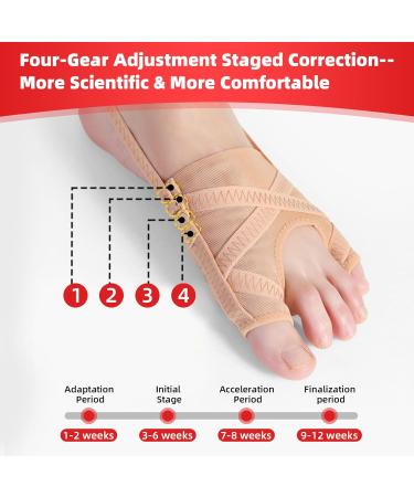 XTOERBUY Bunion Corrector Big Toe Straightener Adjustable Hallux Valgus Correction Protector Little Toe Pain Relief Bunion Splint with Non-slip Strap for Day Night Support - for Women & Men (L) - Buy Online on GoSupps.com