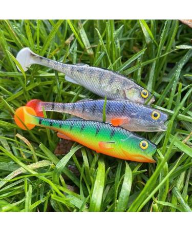 Buy LMAB K fi Perch Shad | Rubber Fishing Bait for Zander Barsch Hecht | 7-23 cm Sizes Available - International Shipping - Buy Online on GoSupps.com