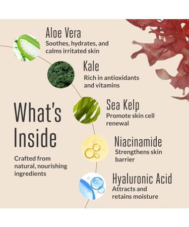 ACORN + OAK Radiance Revival Trio Face Moisturizer Eye Cream & Vitamin C Serum | Hydrating + Brightening Skincare Set with Aloe Niacinamide & Hyaluronic Acid - Buy Online on GoSupps.com