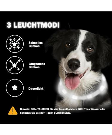 Nepfaivy Luminous Elbe Hund USB Charging Waterproof LED Dog Collar - Adjustable Length 3 Lighting Modes for Safety White Silicone | International Shipping - Buy Online on GoSupps.com