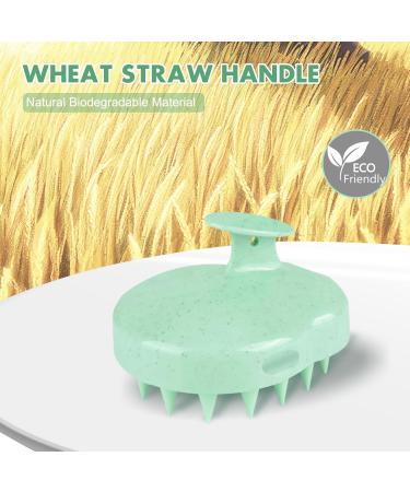 Hience Scalp Massage Brush Set - 2 Pcs Hair Growth & Anti-Dandruff Shampoo Brush | Eco-Friendly Wheat Straw & Soft Silicone Bristles | Mint Green & Beige - Buy Online on GoSupps.com