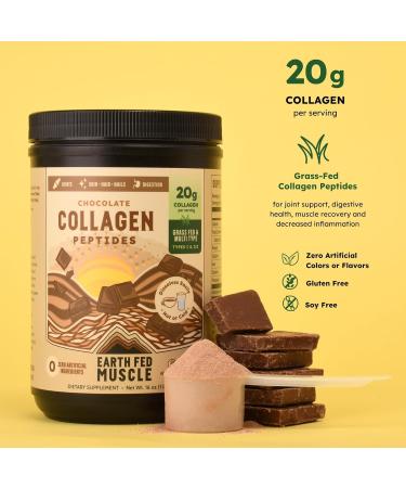 Earth Fed Muscle Chocolate Collagen Peptides Powder Grass Fed Hydrolyzed Collagen for Women & Men - Healthy Bones, Skin & Hair - Types 1 & 3 Collagen Powder, 20g Per Serving, 19 Servings Chocolate 1 Pound (Pack of 1) - Buy Online on GoSupps.com