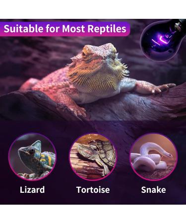 LUCKY HERP Reptile Night Heat Bulb 50W Night Heat Lamp Bulbs for Reptiles 2 Pack Reptiles & Amphibians Basking Spot Light Bulb for Bearded Dragon Lizard Snake Turtle Chameleon - Buy Online on GoSupps.com