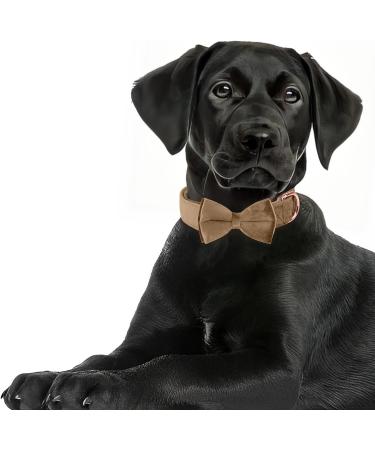 Asvin Velvety Dog Collar - Soft Comfortable & Multi-Color | Removable Dog Flying Accessory for Weddings & Parties - Size S Coffee - Buy Online on GoSupps.com