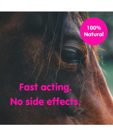 Aviform EQUABLE | Natural Horse Calmer Supplement | 1Kg Compostable Pouch | Relieves Stress and Enhances Focus | Express Delivery Available - Buy Online on GoSupps.com