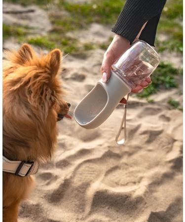 Buy Lionto 350ml Portable Leak-Proof Water Bottle for Dogs | Grey Water Dispenser for On-the-Go Travel - Buy Online on GoSupps.com