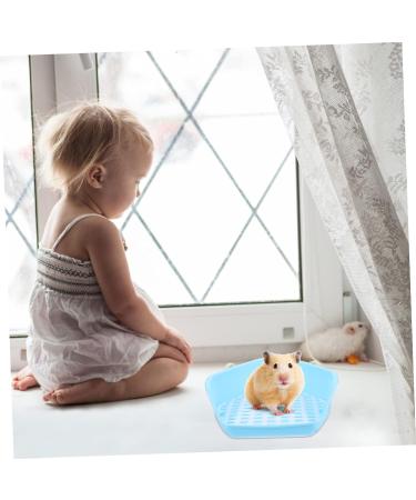 BESPORTBLE Box Rabbit Toilet Bunny Accessories Critter Bath Toilet Pan Tray Bunny Supplies Hamster Plastic Blue - Buy Online on GoSupps.com