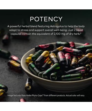 Gaia Herbs Astragalus Supreme - Immune & Antioxidant Support Supplement - 120 Vegan Capsules - Buy Online on GoSupps.com