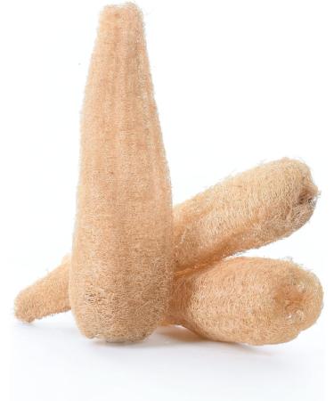 3 Pack Natural Loofah Exfoliating Body Sponges - Eco-Friendly, Biodegradable Shower Luffa - Buy Online on GoSupps.com