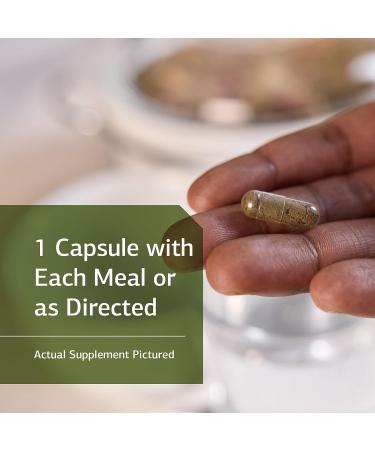 Standard Process Okra Pepsin E3 - Whole Food Digestion & Digestive Health - 90 Capsules, Gluten-Free - Buy Online on GoSupps.com