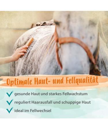 Ida Plus Biotin & Zinc for Horses - High-Dose Supplement for Hoof Quality Skin Fur & Immune Support - 750g - Premium Comparison Winner - Buy Online on GoSupps.com