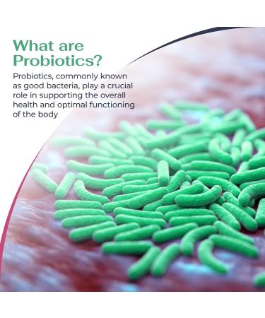 logos nutritionals MagniFlora Seven Probiotic 5 Billion CFU - 60 Vegan Capsules 7 Strain Blend for Digestive Health Immune Boost Probiotic Supplements for Men & Women - Buy Online on GoSupps.com