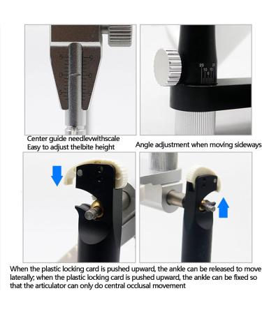 Buy Beesom Adjustable Articulator | Dental Laboratory Tool for Technicians | Dental Magnet Articulator for Prostheses - International Shipping Available - Buy Online on GoSupps.com