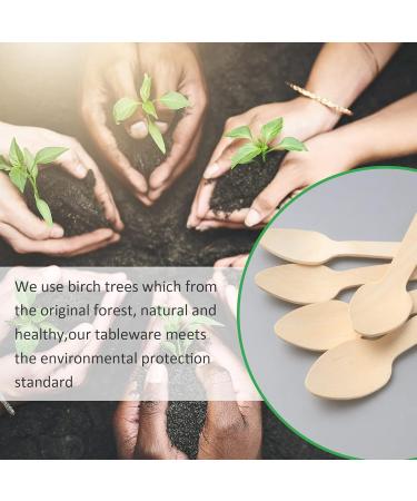 Disposable Wooden Spoon 300 Pack Mini Ice Cream Spoons Eco Friendly Birchwood Tasting Spoon Biodegradable Compostable Wood Cutlery for Dessert Cake Party Picnic Hand Crafts - 4.33 Inch - Buy Online on GoSupps.com