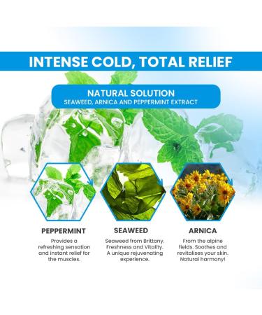 Vet CRYO Intense Gel Effet Froid pour Chevaux. Baume Naturelle pour les Douleurs Musculaires & Articulaires. Cr me de Massage Refrigerant pour Cheval pour Circulation des Jambes - 1000 ml - Buy Online on GoSupps.com
