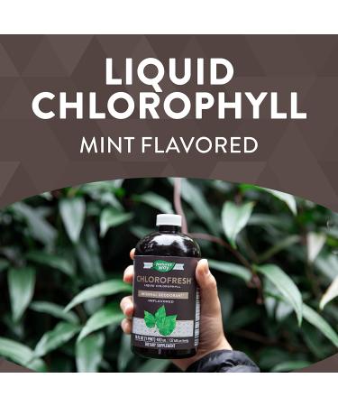 Nature's Way Chlorofresh Liquid Chlorophyll Concentrate 16 Fl. Oz - Mint Flavored | Internal Deodorant for Detoxification Pathways - Buy Online on GoSupps.com