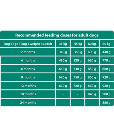 The Hunger of the Wolf Dry food for young dogs and puppies of large and very large breeds formula with a high poultry meat content 3 kg - Buy Online on GoSupps.com