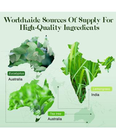 ASAKUKI Top 6 Essential Oils Set - 100% Natural Aromatherapy Oils for Diffusers, Humidifiers, Massage, Hair Care - Tea Tree, Lavender, Peppermint, Eucalyptus, Lemongrass, Sweet Orange 10ml - 6 Count Pack - Buy Online on GoSupps.com