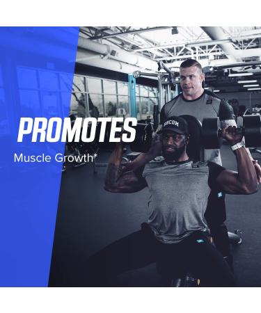 Bodybuilding.com Signature Creatine Monohydrate Powder - 400g - Muscle Size, Strength, Power, Performance & Recovery - Unflavored - Buy Online on GoSupps.com