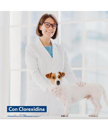 Biodegradable Cotton Swabs Velvet x 200 | Eco-Friendly Sustainable Clean | International Shipping - Buy Online on GoSupps.com