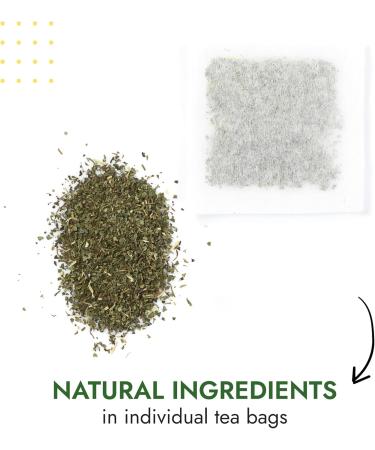  Alpi Nature Alpi Nature Organic Lemon Balm Tea 120 Tea Bags 120 g (6 Boxes of 20 Bags of 1 g) Lemon Balm Herb to Prepare Herbal Teas - Buy Online on GoSupps.com