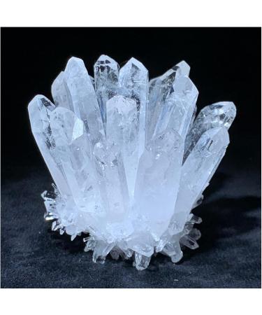Natural Crystal Rough Crystal Cluster Natural White Phantom Quartz Crystal Cluster Samples Home Office Decoration (Size : 210-300g) - Buy Online on GoSupps.com