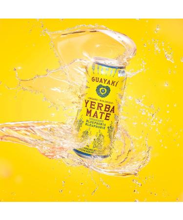 Guayaki Yerba Mate Tea Canned Beverage Bluephoria Flavor 458 mL (Pack of 12) - Buy Online on GoSupps.com