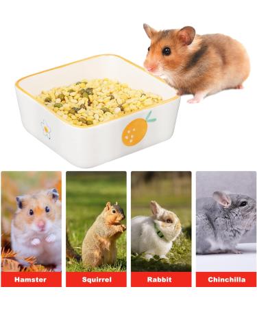Ceramic Rat, Hamster, Rabbit, Guinea Pig Food Bowl Set - 2pcs, Cute Plates, Water Dish for Bunny, Gerbil, Ferret, Chinchilla - Buy Online on GoSupps.com