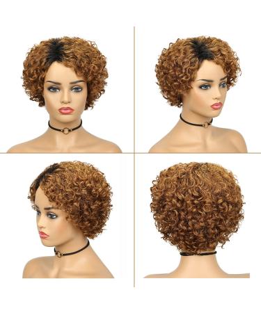 Quantum Love Human Hair Wig | Short Bob Pixie Cut | Deep Curly | Ombre Black Brown OT30 | Brazilian Remy Human Hair | Non-Lace Front - Buy Online on GoSupps.com
