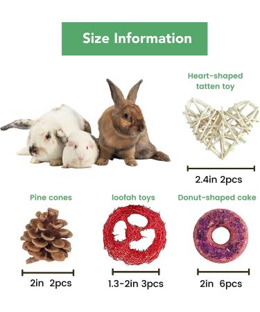 Lacrima Rabbit Chew Toys Donuts 13PCS - Natural Bunny & Guinea Pig Teeth Health Treats - Buy Online on GoSupps.com