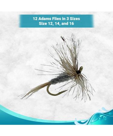 Feeder Creek Adams Dry Fly Fishing Flies Assortment for Trout - 12, 14, 16, 18 (3 of Each Size) - Buy Online on GoSupps.com