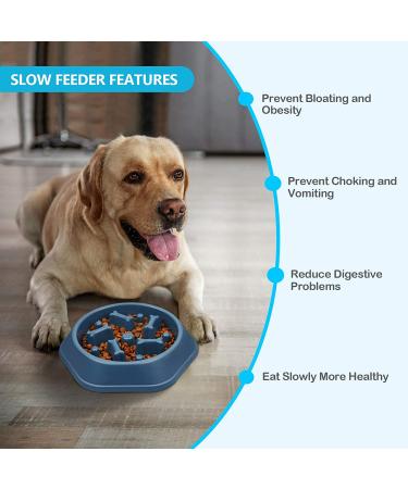 UPSKY Slow Feeder Dog Bowl - Anti-Choking Interactive Puzzle Bowl for Slower Feeding and Bloat Prevention - Non-Slide Design for Small to Medium Breed Dogs - C-blue - Buy Online on GoSupps.com