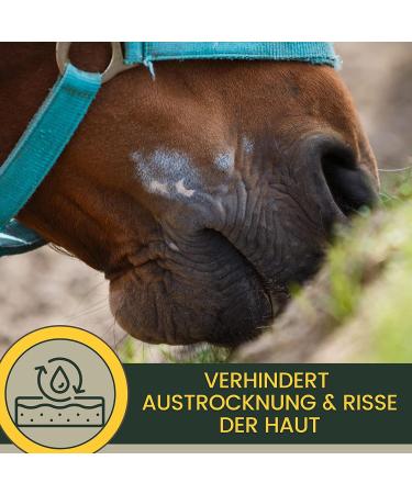 Zinc Ointment for Horses Dogs & Cats - 250ml Wound Healing Cream & Eczema Relief - Buy Online on GoSupps.com