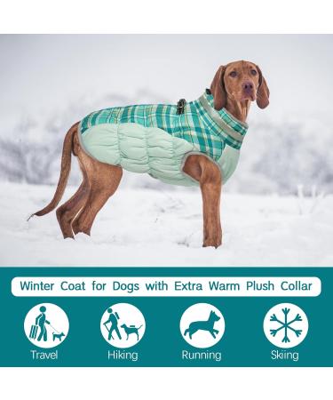 Kuoser Warm Dog Jacket | Reflective Windproof Coat for Small & Large Dogs | Fashionable Winter Dog Coat in Dark Green - Buy Online on GoSupps.com