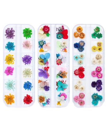 iFancer 108 Pcs Nail Dried Flowers 48 Colors 3D Nail Art Real Flowers Nature Dry Petals Leaves Decor for Nail Art Design Manicure Decoration Nail Dried Real Flower 4