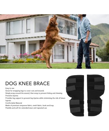 Dog Leg Brace Arthritis Relief Joint Protection Pain Reduction 1 Pair Flexible Dog Knee Pads Recovery (L for 12 to 36 Months) - Buy Online on GoSupps.com