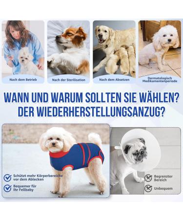 Eyein Dogebody - Breathable Soft One-Piece for Dogs | Post-Op Wound Protection | E-Neck Band Alternative | XXL Red-Blue - Buy Online on GoSupps.com