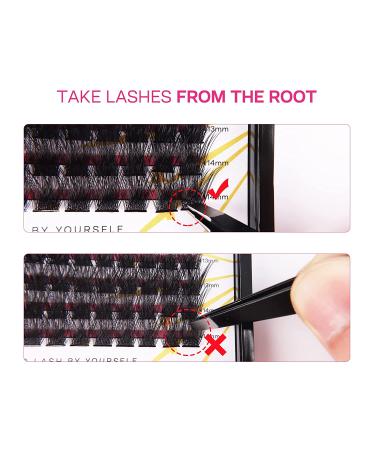 CALAILIS Naturals DIY Eyelash Extension Kit - 0.10mm 56 Roots, Glue, Tweezers - Individual Lashes Home Extension Set - Buy Online on GoSupps.com