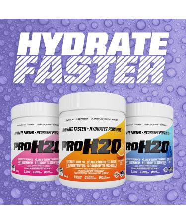 PVL Pro Series PROH2O | Advanced Hydration powder electrolyte powder with 5 key electrolytes no sugar carb free zero calories - 30 serving (255 G Berry Blast) Berry Blast 30 Servings (Pack of 1) - Buy Online on GoSupps.com