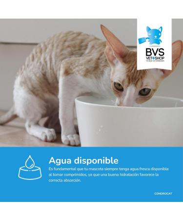 Barakaldo Vet Shop Condrocat BVS for cats 1 piece x 15 g - Buy Online on GoSupps.com