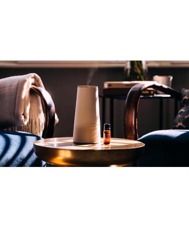 Aromatherapy Associates Rose Pure Essential Oil Blend. Premium Undiluted Blend to Uplift The Senses. Hand-Crafted with Rose Geranium and Palmarosa (0.33 fl oz) - Buy Online on GoSupps.com