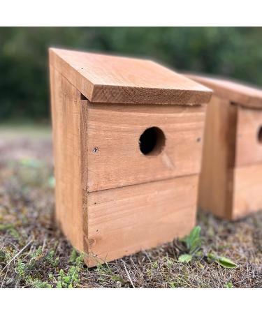 Wooden Multi-Hole Wild Bird Classic Nest Box Birdhouse (Pack of 2) - Buy Online on GoSupps.com