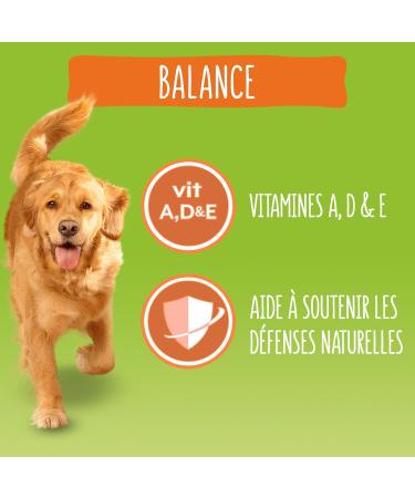 FRISKIES Balance Dog Food Chicken Beef Vegetables 3KG - Buy Online on GoSupps.com